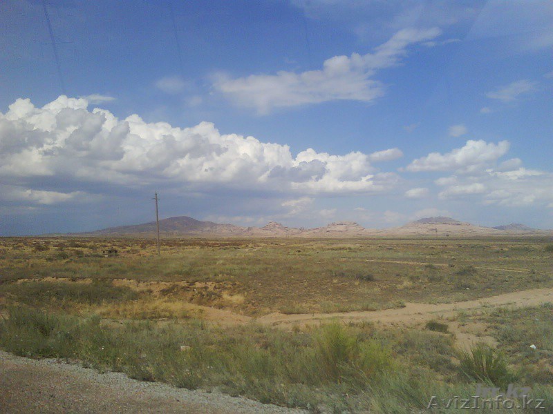 Крестьянское хозяество трасса Балхаш - Караганда - Изображение #1, Объявление #444341