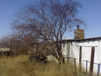 Дамир Балабеков,damir_kz_93@mail.ru.87016061188 - Изображение #4, Объявление #194881