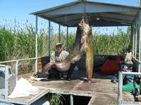 Рыбалка на Балхаше на рыболовной базе"НЕПТУН" - Изображение #4, Объявление #614073