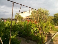 Сдаётся дача по суточно, район Барковского возле озера.  - Изображение #1, Объявление #655770