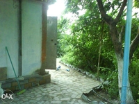 Дачный отдых на Балхаше!  - Изображение #6, Объявление #1288182