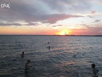 Дачный отдых на Балхаше!  - Изображение #8, Объявление #1288182