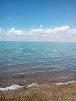 Аренда дачи на Балхаше! - Изображение #1, Объявление #458028