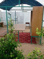 Аренда дачи на Балхаше! - Изображение #4, Объявление #458028