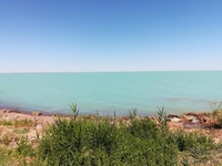 Отдых на Балхаше в Приозерске - Изображение #5, Объявление #1127637