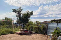 Сдается уютная дача с ТАПЧАНОМ возле озера Балхаш - аренда дома - Изображение #7, Объявление #1727521