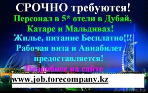 Работа в 5* отелях Дубая,  Катара,  Мальдив,  США