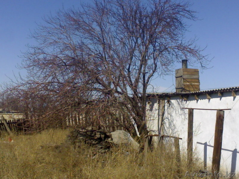 Дамир Балабеков,damir_kz_93@mail.ru.87016061188 - Изображение #4, Объявление #194881