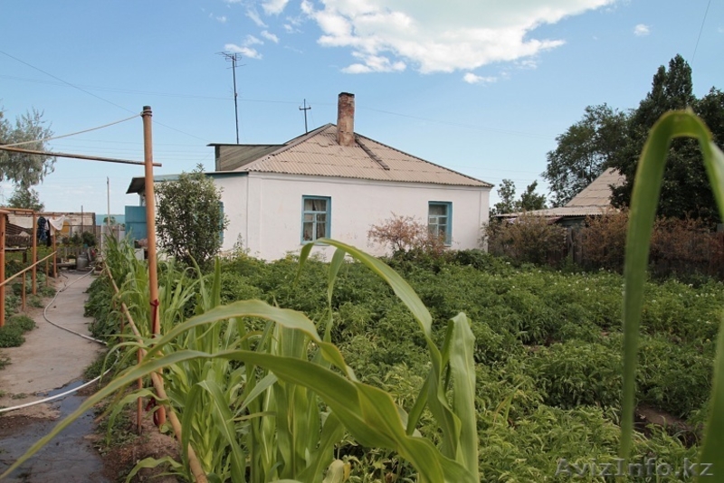 Продаю дом с 2-мя участками пос Шашубай, 15 минут езды от города - Изображение #2, Объявление #574319