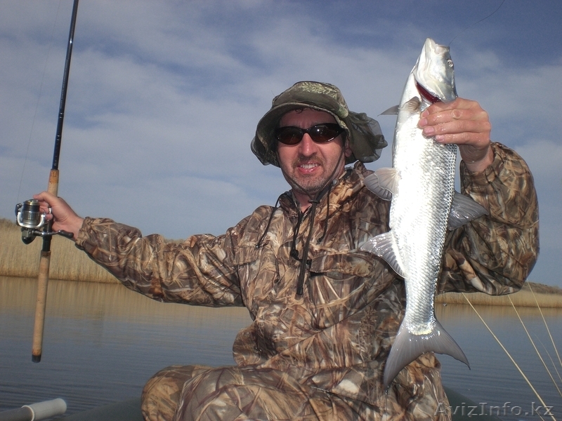 Рыбалка на Балхаше на рыболовной базе"НЕПТУН" - Изображение #1, Объявление #614073