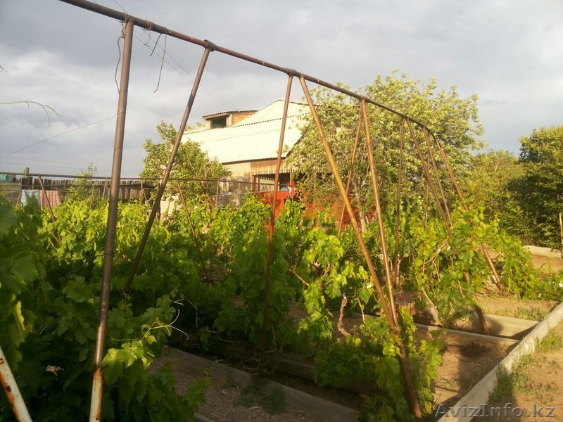 Сдаётся дача по суточно, район Барковского возле озера.  - Изображение #1, Объявление #655770