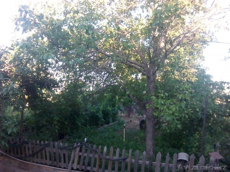 Продажа полдома - Изображение #2, Объявление #1294413