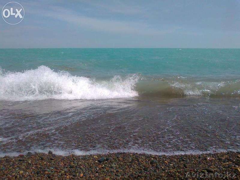 Дачный отдых на Балхаше!  - Изображение #1, Объявление #1288182